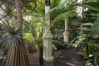 Exotic plants and cast iron columns in a lush tropical garden with light and shade effect, historic