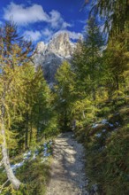 Mountain path of the Sella Group Mountain landscape in the Alps with trees and snow-covered