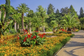 Palm garden in the historic spa gardens, the largest outdoor palm garden north of the Alps, Bad