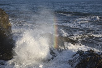 Crashing waves.Coast at Dyrholaey. Dyrholaey has been a natural reserve since 1978. South Iceland