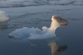 Icebergs on the Joekulsarlon glacial lake or lagoon