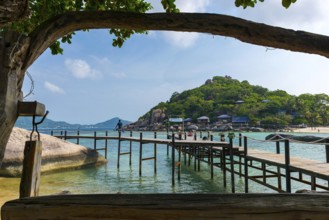 Wooden jetty at the entrance area of Nang Yuan Island, island, holiday island, tropical, tropics,