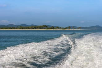 Phang Nga bay near Koh Yao Yai, palm beach, palm tree, seascape, seascape, nature, natural