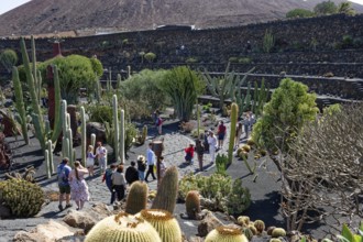 Cactus garden, Jardin de Cactus, designed by the artist César Manrique, Lanzarote, Canary Islands,