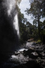 Tiu Kelep waterfall in backlight, nature, landscape, flowing, river, fresh, clear, clean,