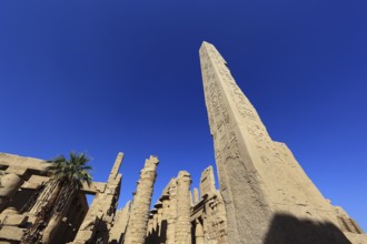 Luxor, Karnak Temple, obelisks of Thutmosis I and Hatshepsut in the temple complex at Karnak,