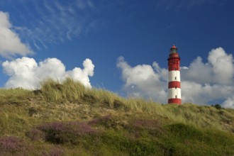 Lighthouse in the dunes, Amrum, North Frisian Islands, Schleswig-Holstein, Germany, Europe