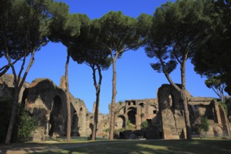 Ruins on Monte Palation, Palatine Hill, Rome, Italy, Europe