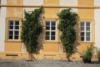 Oberschwappach Castle, facade detail, Steigerwald, municipality of Knetzgau, district of Hassberge,