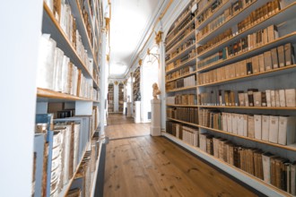 Corridor in a library with high bookshelves and a wooden floor that creates a calming atmosphere,