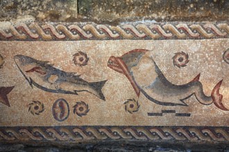 Mosaic in the Roman ruins of Milreu, near Estoi, Algarve, Portugal, Europe