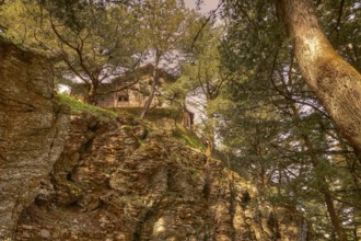 A house on a rocky outcrop, surrounded by dense trees in a forest, Big old trees, wild nature,