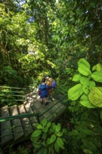 Tourist on the way in the rainforest to Cerro Tortuguero, Tortuguero National Park, Costa Rica,