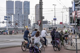 Cyclist on cycle path in front of the Erasmus Bridge over the Nieuwe Maas, skyline of skyscrapers