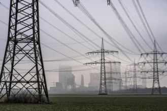 Large power line, 380 KV extra-high voltage lines, near Rommerskirchen, RWE lignite-fired power