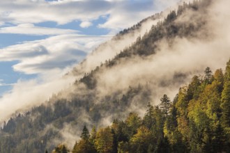 Isar valley nature conservancy area. The wild Isar river flows through its gravel bed past