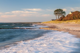 Evening atmosphere on the beach of Ahrenshoop, groynes in the surf of the Baltic Sea, houses and