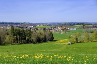 Spring meadows, landscape, view of Schaibing from Saxing near Untergrießbach, Passauer Land, Lower