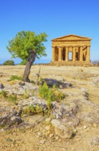 Temple of Concordia, Valley of Temples, Agrigento, Sicily, Italy, Europe