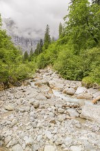 The Enger-Grund creek flowing fast through the Eng valley, Tyrol, Austria, Europe