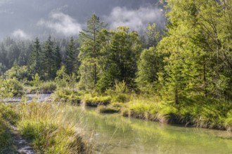 Isar valley nature conservancy area on an early sunny morning. The wild Isar river flows through