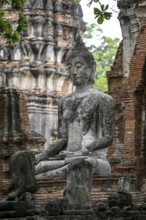 Buddha statue in Wat Mahathat Ayutthaya, Temple of the Great and Holy Relic, Ayutthaya, Ayutthaya