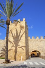 Medieval Town Walls, Alcudia, Mallorca, Balearic Islands, Spain, Europe