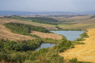 Lake in a typical Tuscan landscape in Crete Senesi with hills, trees and fields in summer, Asciano,