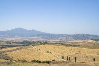 Typical Tuscan landscape in Val d'Orcia with hills, trees, fields, cypresses and farm road in