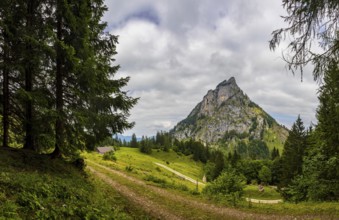 Schartenalm with view of the Sparber, Osterhorn group, Salzkammergut, Salzburg province, Austria,