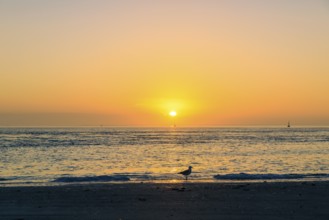 Sunset on the west beach of Norderney, Lower Saxony, Germany, Europe