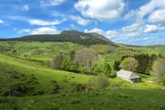 Lush Green Landscape of Mont Mezenc in in the Monts d'Ardeche Regional Natural Park,