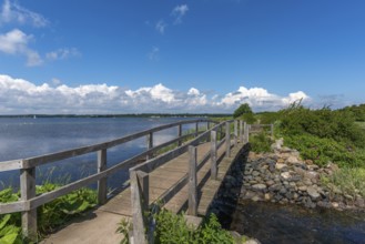 Small Noor in the nature reserve Holnis peninsula, NSG, German, Danish border area, wooden bridge