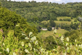 Landscape view across River Avon valley to Warleigh, Wiltshire from Claverton, near Bath, England,