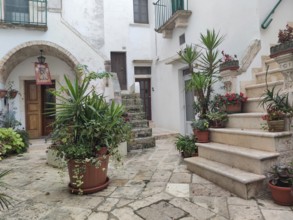 A quiet alley with plant pots and stone steps, surrounded by traditional buildings, old town centre