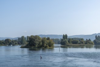 River islands in the nature reserve, Stein am Rhein, water sports, Canton Schaffhausen,