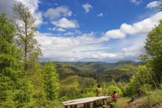 View of the southern Palatinate Forest from the summit of the Eiderberg