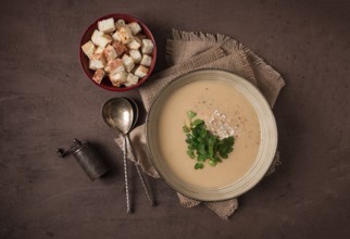 Cream soup, mashed soup, beige, mushroom, onion, cauliflower, vegetarian soup