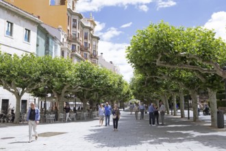 Pedestrian zone Paseo del Espolón or de Esponcillo in the historic centre of Burgos, province of