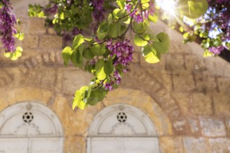 Israel, Jerusalem old narrow streets of Nahlaot historic neighborhood with many small synagogues,