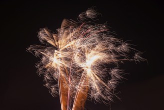 Gold-coloured explosion of fireworks in the dark sky, Lower Saxony, Germany, Europe