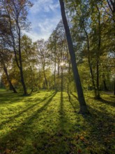 Autumn atmosphere in the English Garden, Munich, Bavaria, Germany, Europe