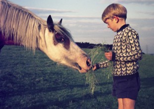 Junge füttert ein Pferd mit Graß, UK