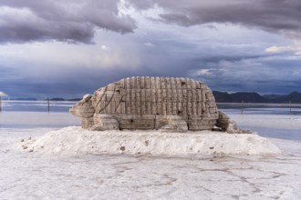 Colchani salt sculptures, Uyuni, Bolivia, South America