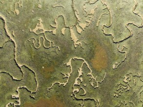 Network of channels and streams at low tide. In the marshland of the Piedras River. Aerial view.