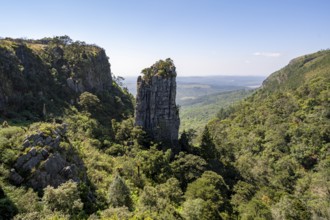 Rock needle in a densely forested canyon, Pinnacle Rock, view over canyon landscape, near Graskop,