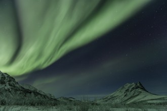 Green Northern Lights (Aurora borealis) over snowy mountains, Brooks Range, Alaska, USA, North