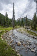 Green mountain valley with forest and mountain stream, Chong Kyzyl Suu Valley, Terskey Ala Too,