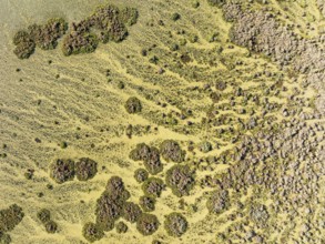 Marshland at low tide. Nature Reserve La Breña y Marismas del Barbate. Aerial view. Drone shot.