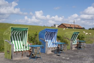 Beach chairs on the promenade, Wyk, Föhr, North Sea island, North Frisia, Schleswig-Holstein,